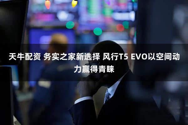 天牛配资 务实之家新选择 风行T5 EVO以空间动力赢得青睐